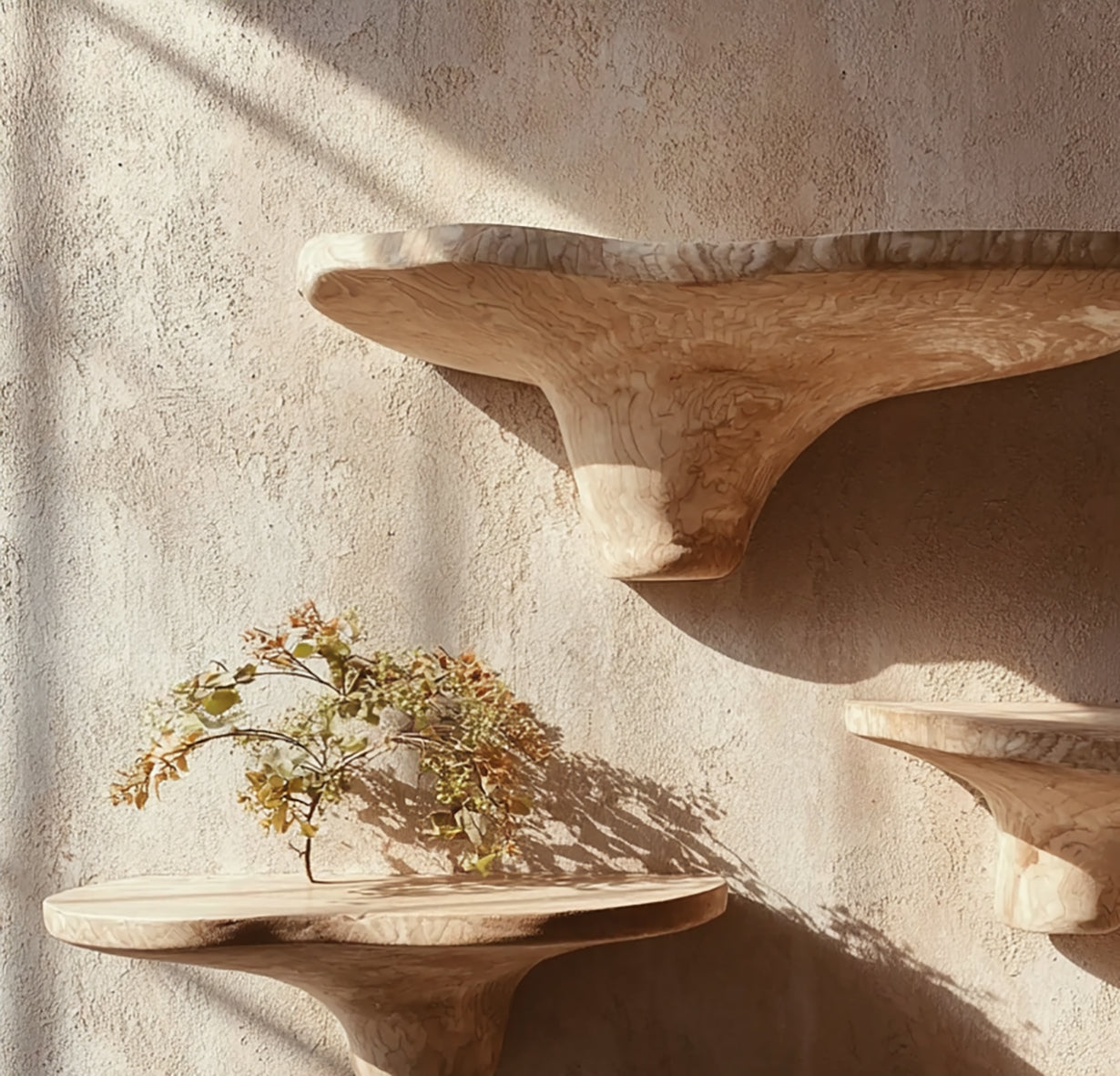 Rustieke Paddenstoel Zwevende Planken Met Verborgen Beugels Hout Decor
