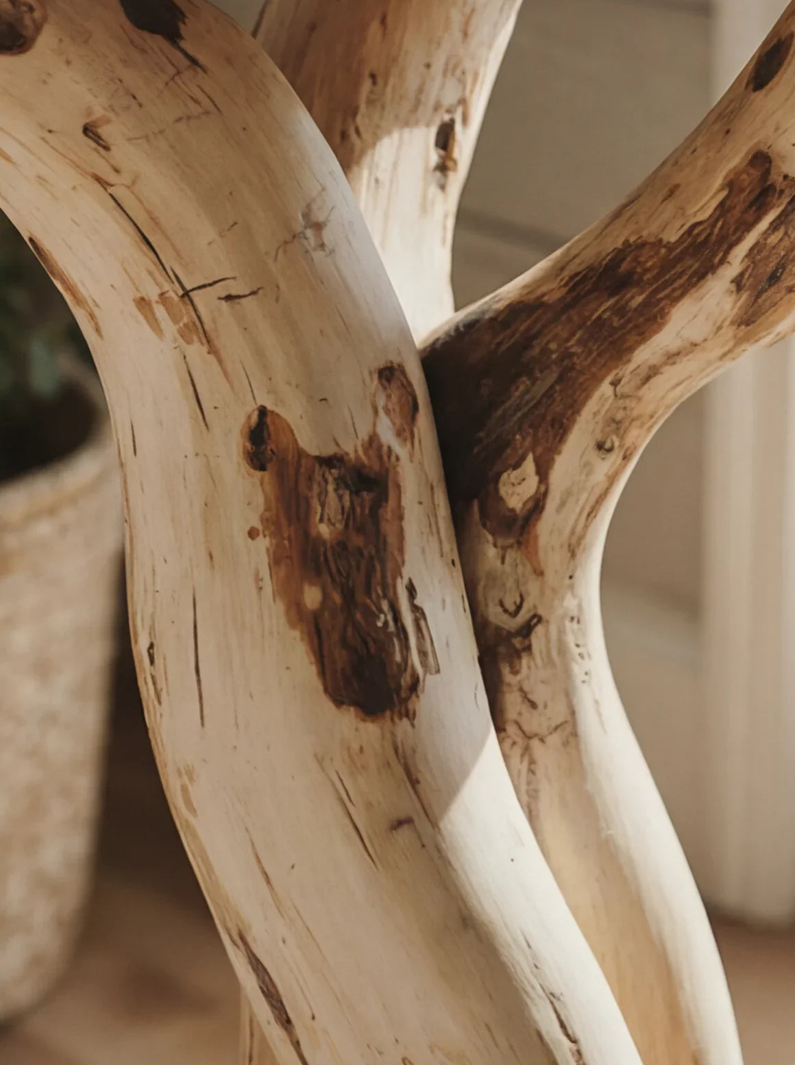 Detail van massief hout met organische nerfpatronen en boomrand