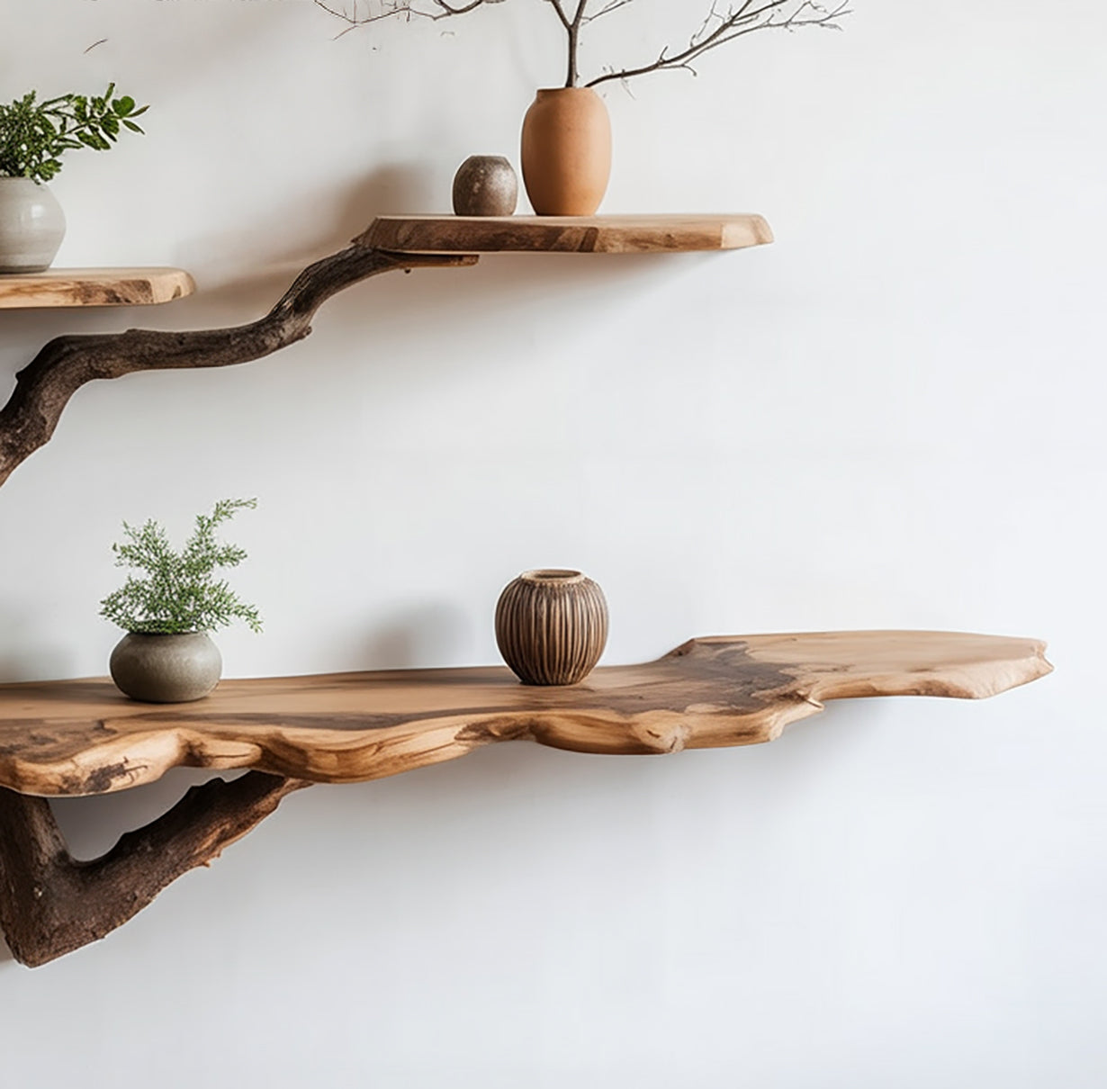 Zwevende Boomtak Boekenplank – Gerecycled Massief Houten Wandplank