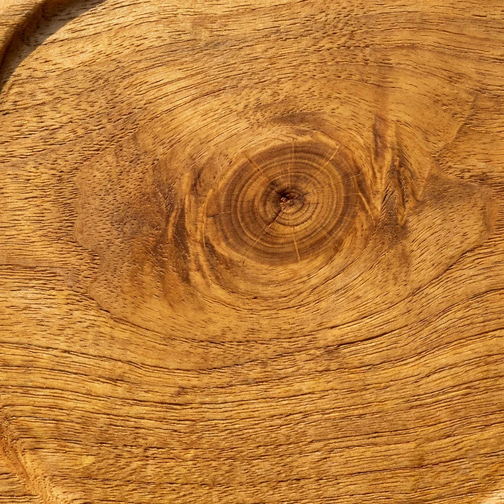 Handgemaakte houten paddenstoel bureau-organizer van massief hout