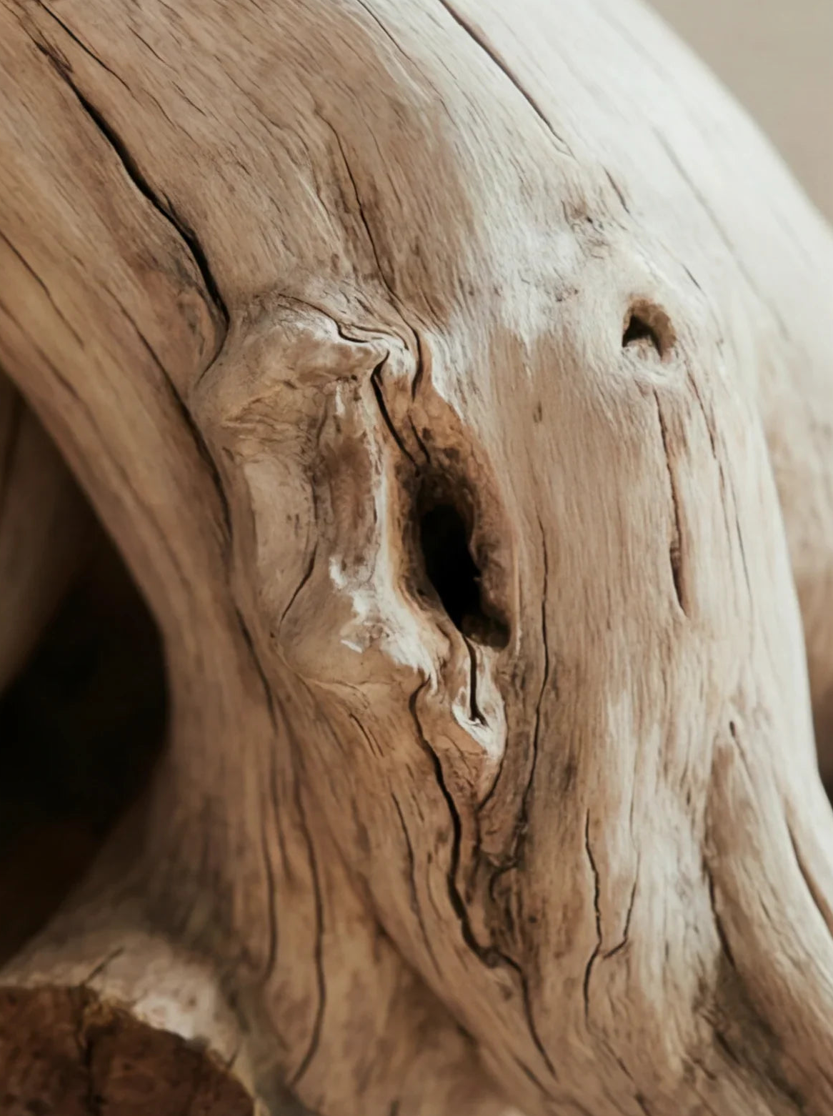 Detail van massief natuurlijk hout met levendige nerf en boomrandtextuur