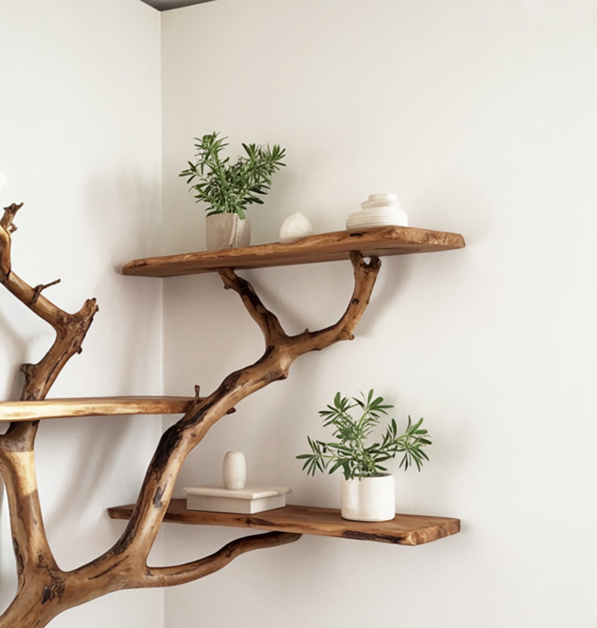 Floating Corner Tree Bookshelf – Rustic Driftwood Branch Wall-Mounted Shelf